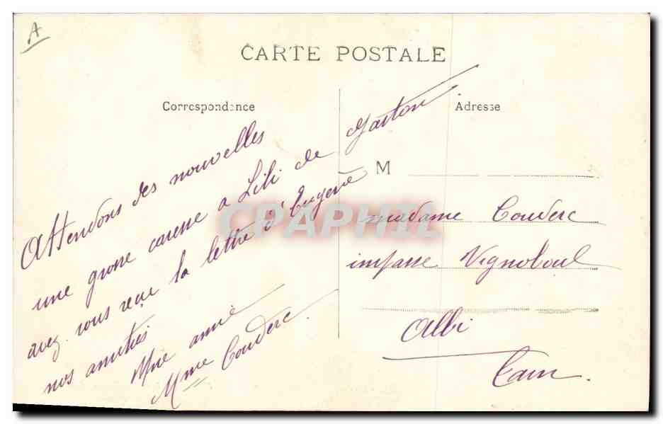 CPA Cochon Porc Papa Maman et leurs enfants en villegiature  — Back