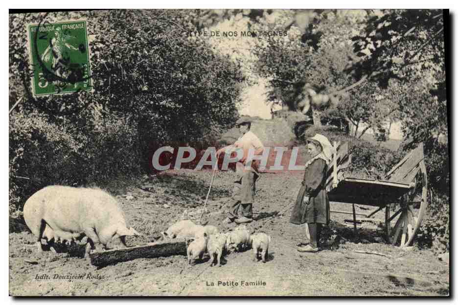 CPA Cochon Porc Type de nos montagnes La petite famille 