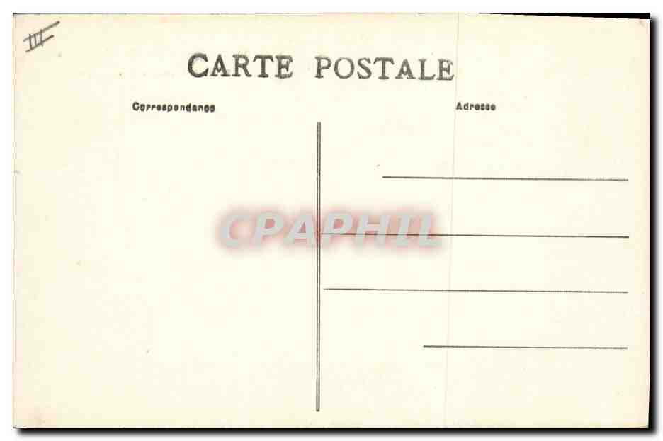 CPA Cochon Porc Toute la famille en excursion  — Back