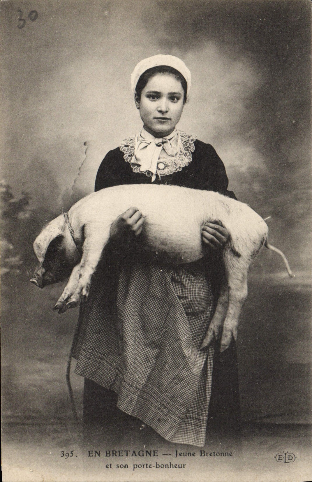 CPA Cochon Porc Bretagne Une jeune bretonne et son porte bonheur 