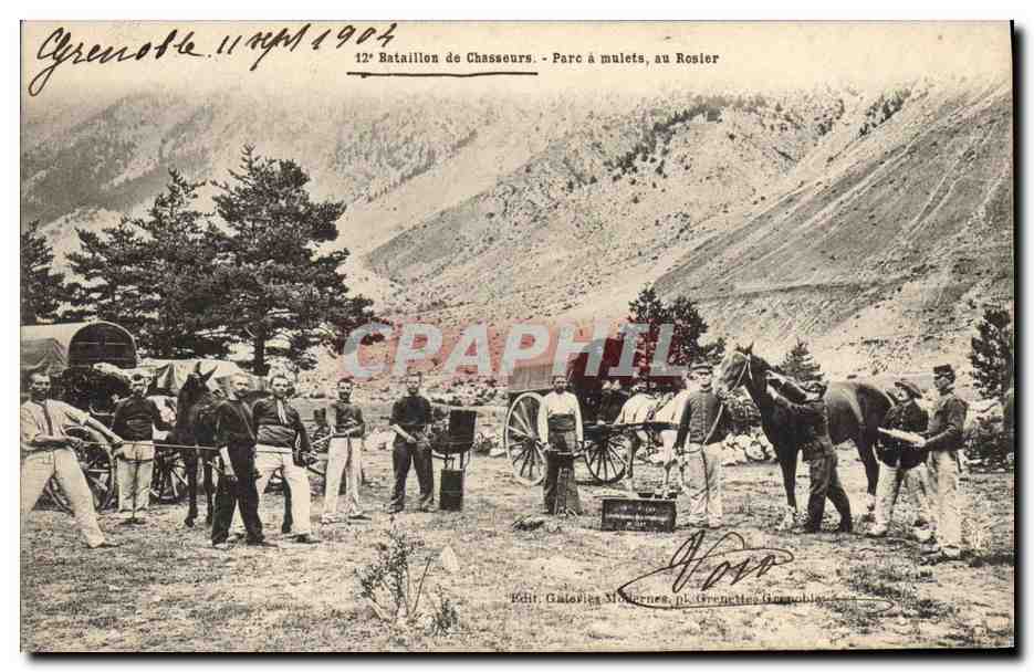 CPA Militaria Chasseurs Alpins 12eme bataillon de chasseurs Parc a mulets au rosier 