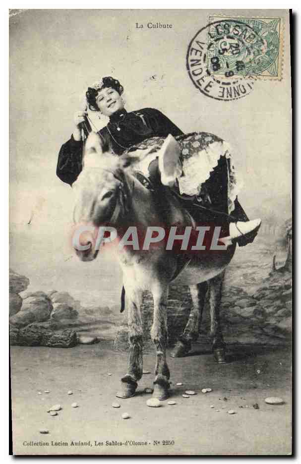CPA Folklore La culbute Ane Mule 