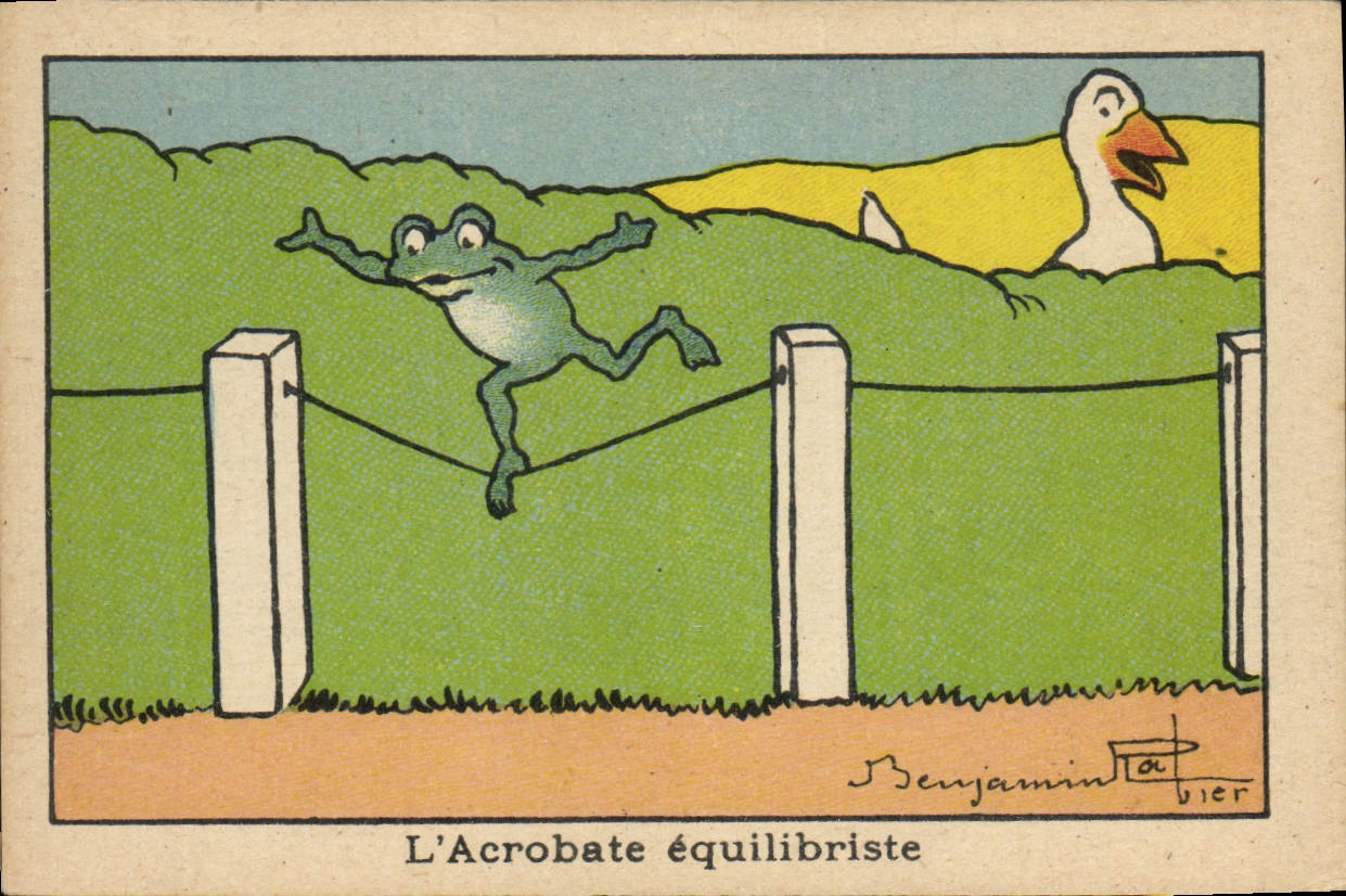Image L'acrobate equilibriste Grenouille 