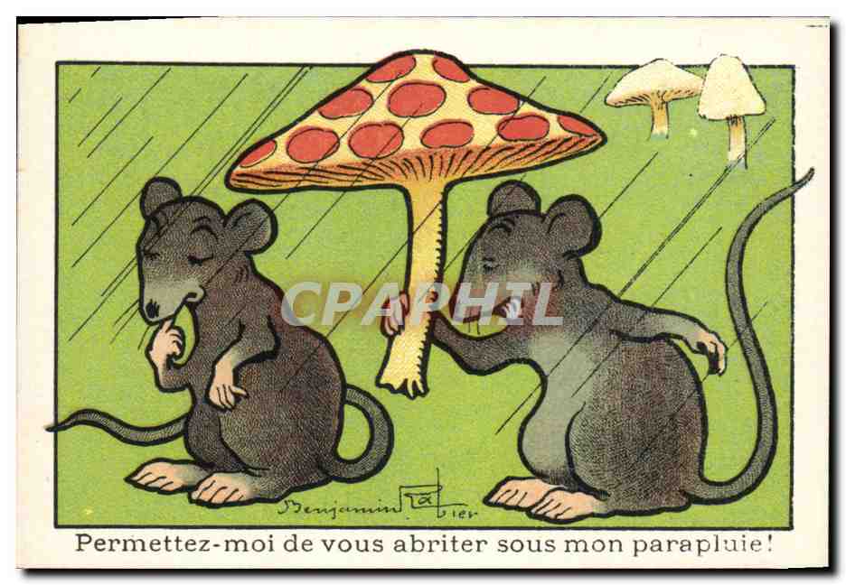 Chromo Bledine Souris Rat Champignon 