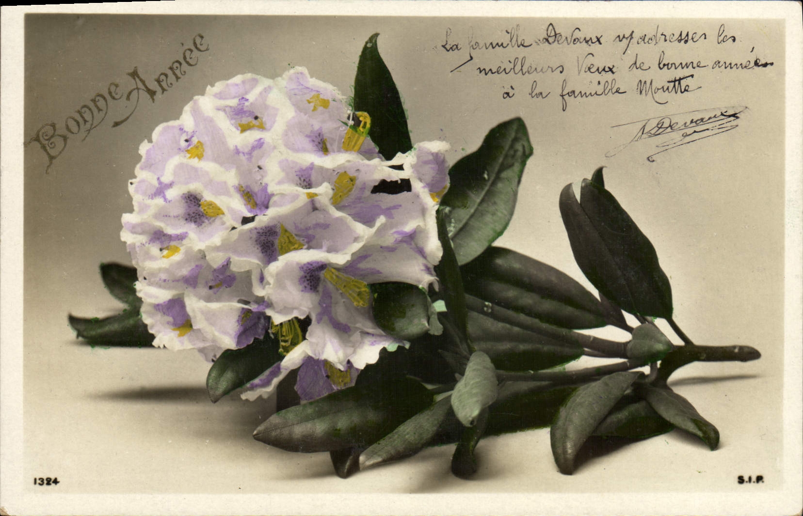 CPA Fantaisie Fleurs 