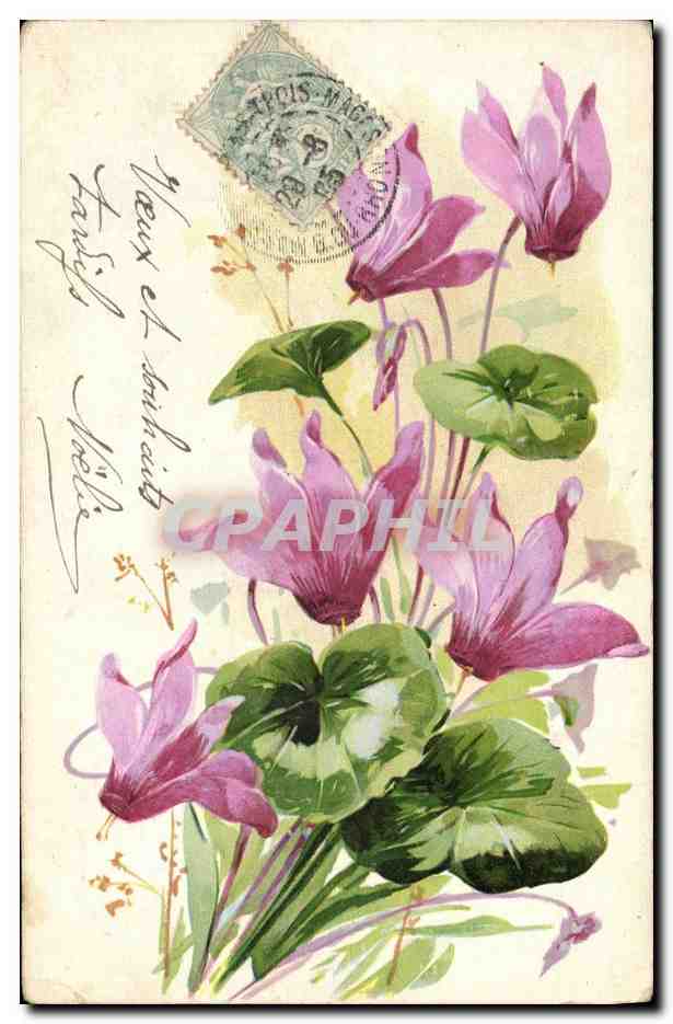 CPA Fantaisie Fleurs 