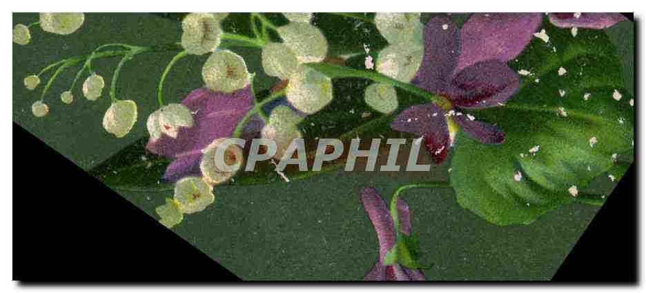 CPA Fantaisie Fleurs Muguet