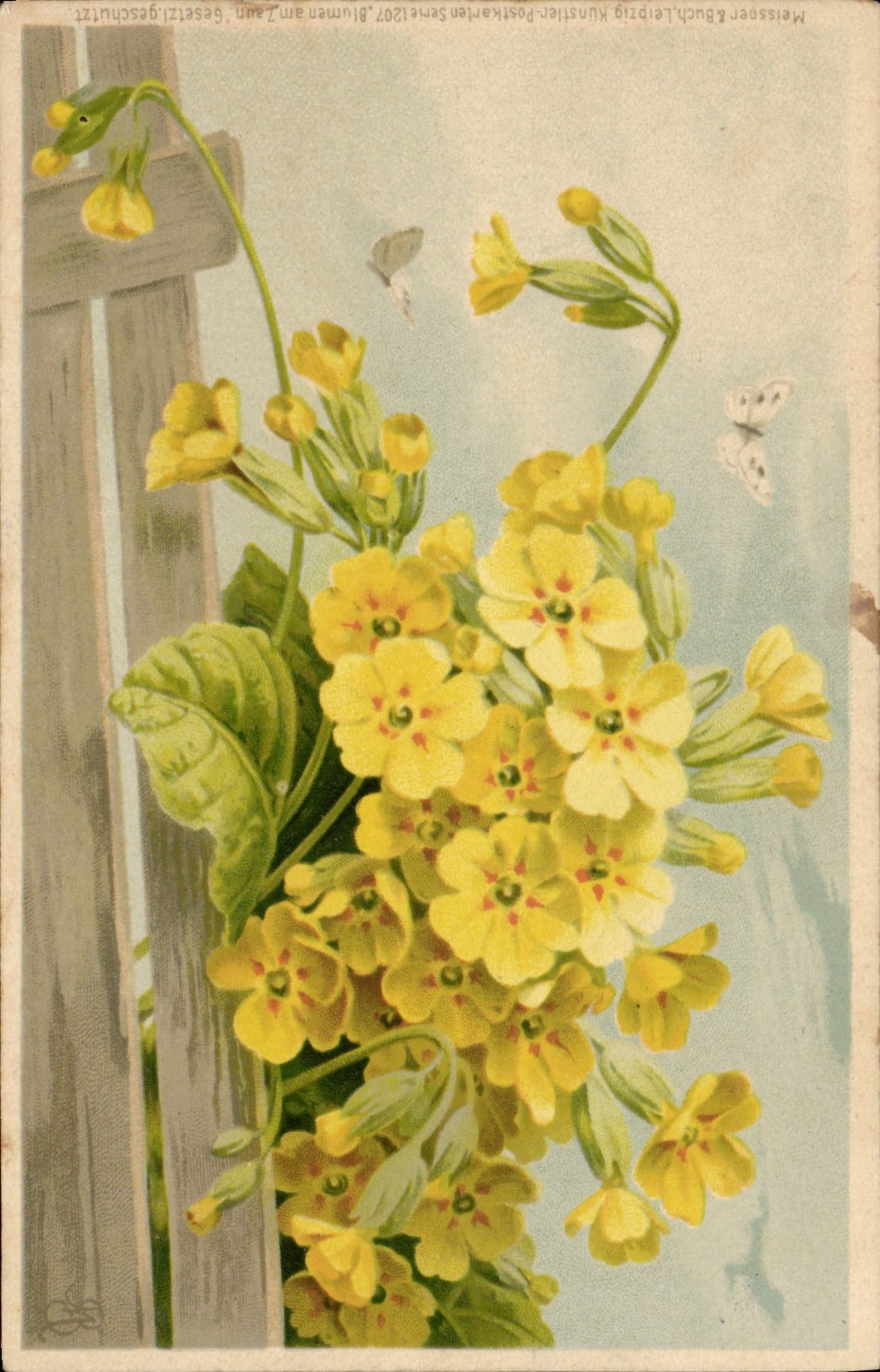 CPA Fantaisie Fleurs Papillon