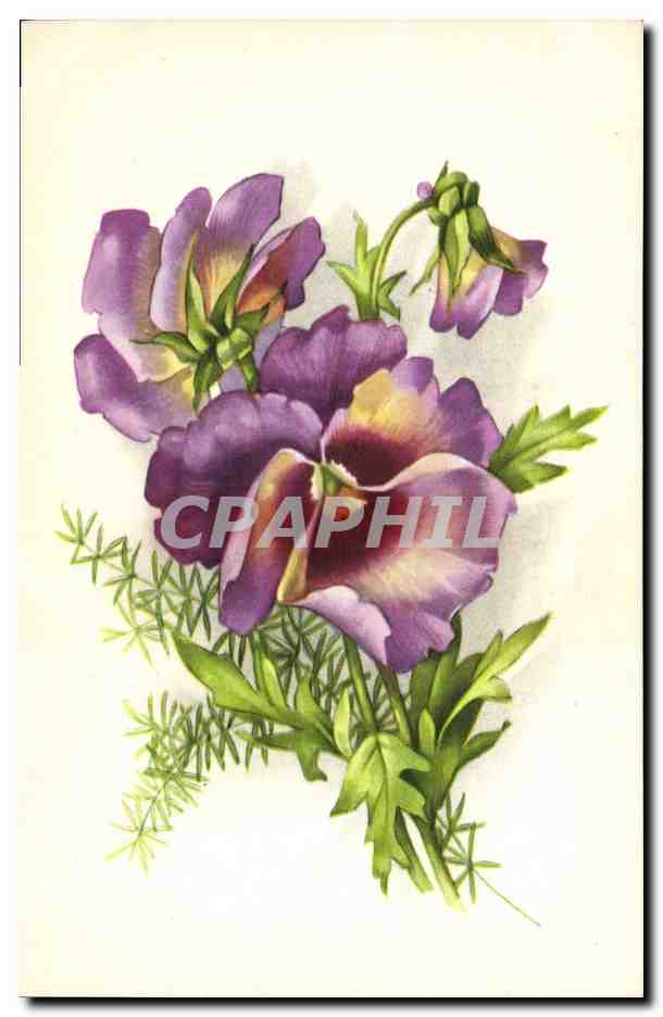 CPA Fantaisie Fleurs 