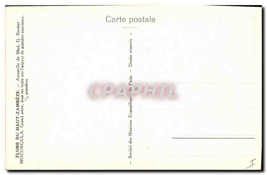 CPA Fantaisie Fleurs  — Verso