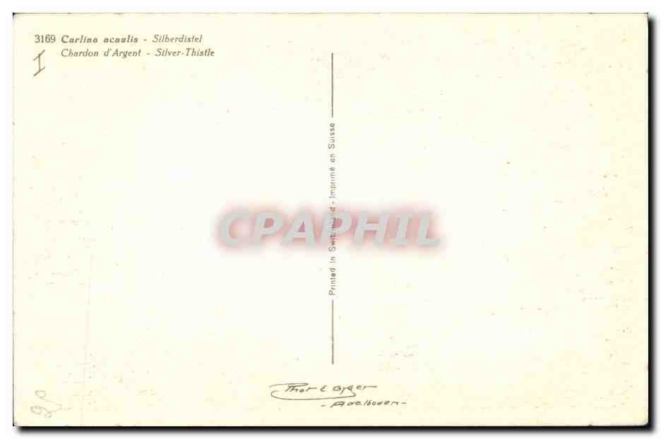 CPA Fantaisie Fleurs Chardon d'argent — Verso