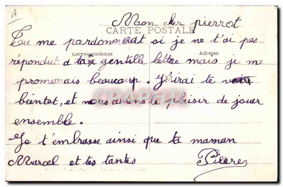 CPA Cochon Porc Nos campagnes Papa Maman et leurs enfants en villegiature — Rückseite
