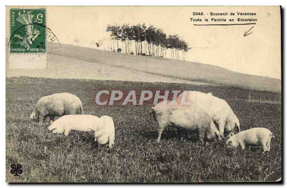 Pigés dans un champ — éditeur Belmon 3348 — Souvenir de Vacances Toute la Famille en Excursion