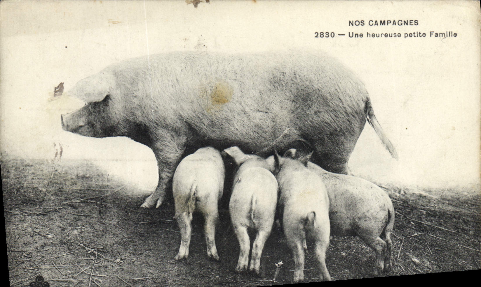 Nos Campagnes — Une heureuse petite Famille — 2830 — éditeur NOS CAMPAGNES
