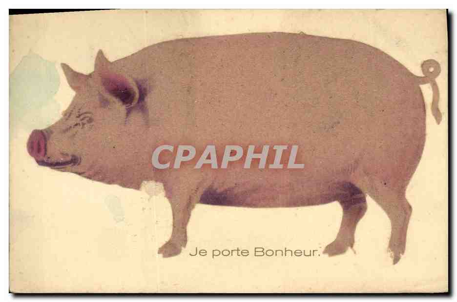 CPA Cochon Porc Je porte bonheur (cochon en relief)