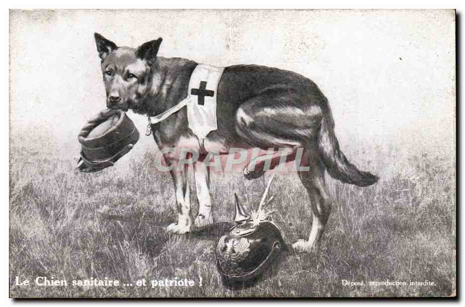 CPA Fantaisie Illustrateur Militaria Le chien sanitaire et patriote Croix Rouge 