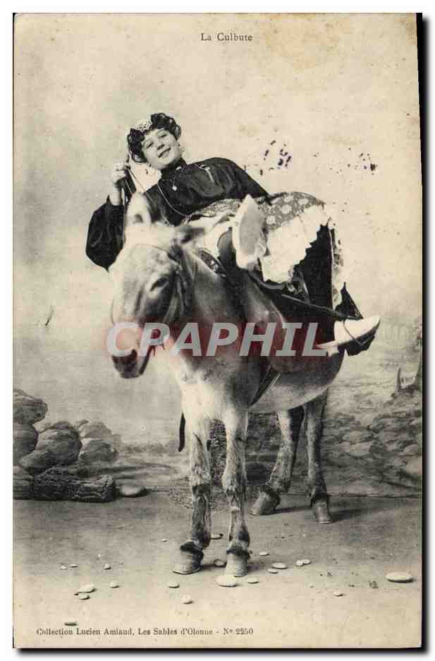 CPA Folklore La Culbute Ane Mule 