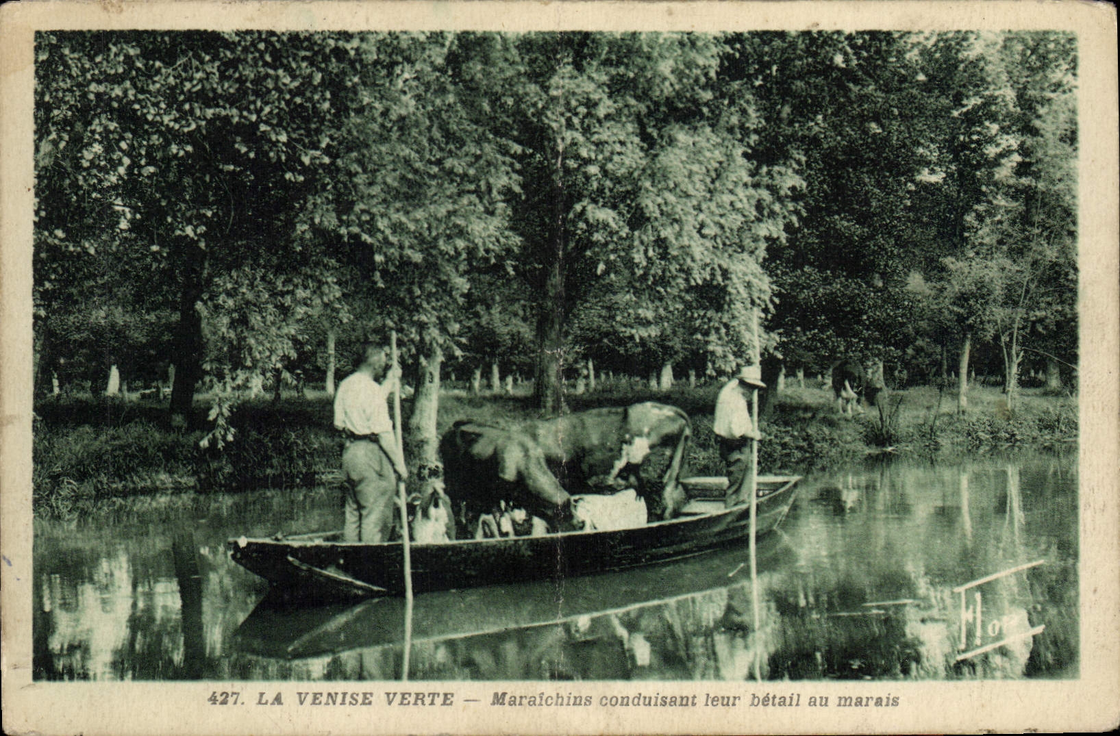 CPA Folklore La Venise verte Maraichins conduisant leur betail au marais 