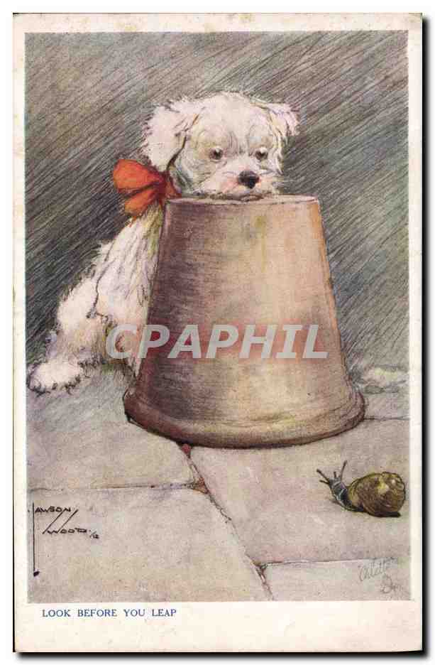 CPA Fantaisie Illustrateur Chien Look before you leap Escargot 