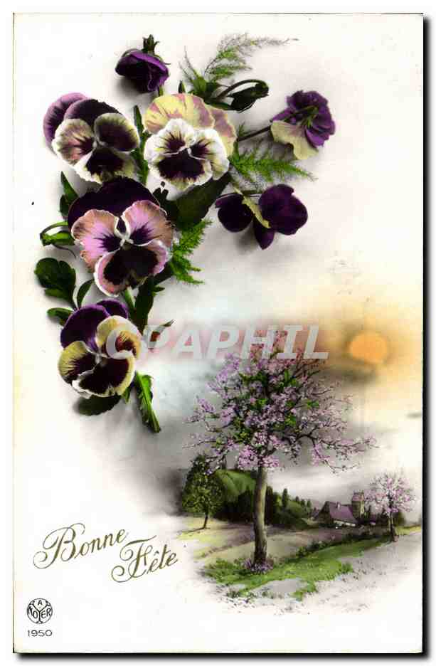 CPA Fantaisie Fleurs 
