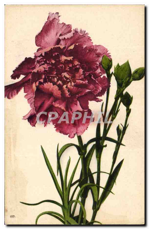 CPA Fantaisie Fleurs 