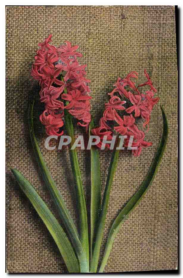 CPA Fantaisie Fleurs 