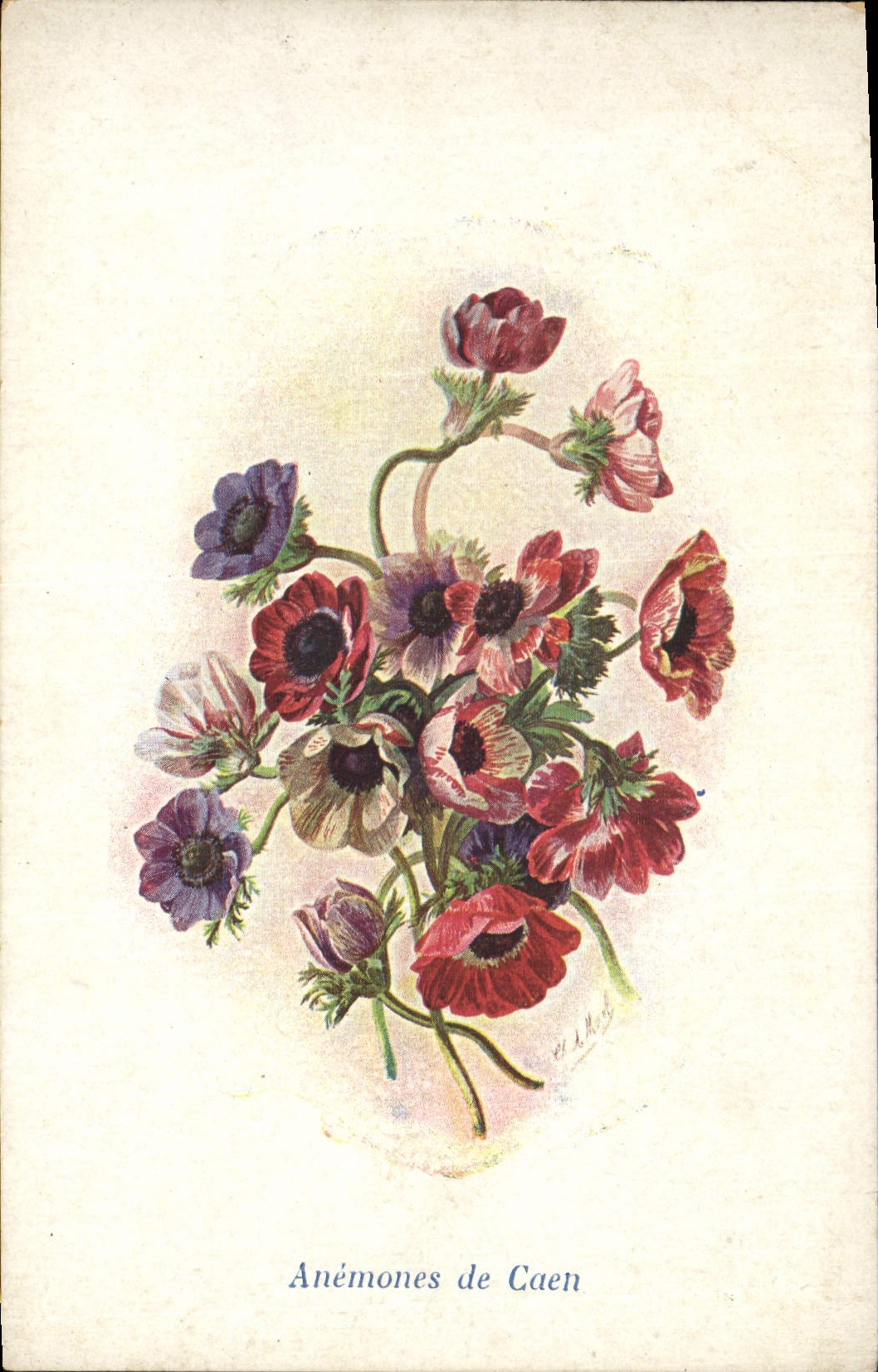 CPA Fantaisie Fleurs Anemones de Caen