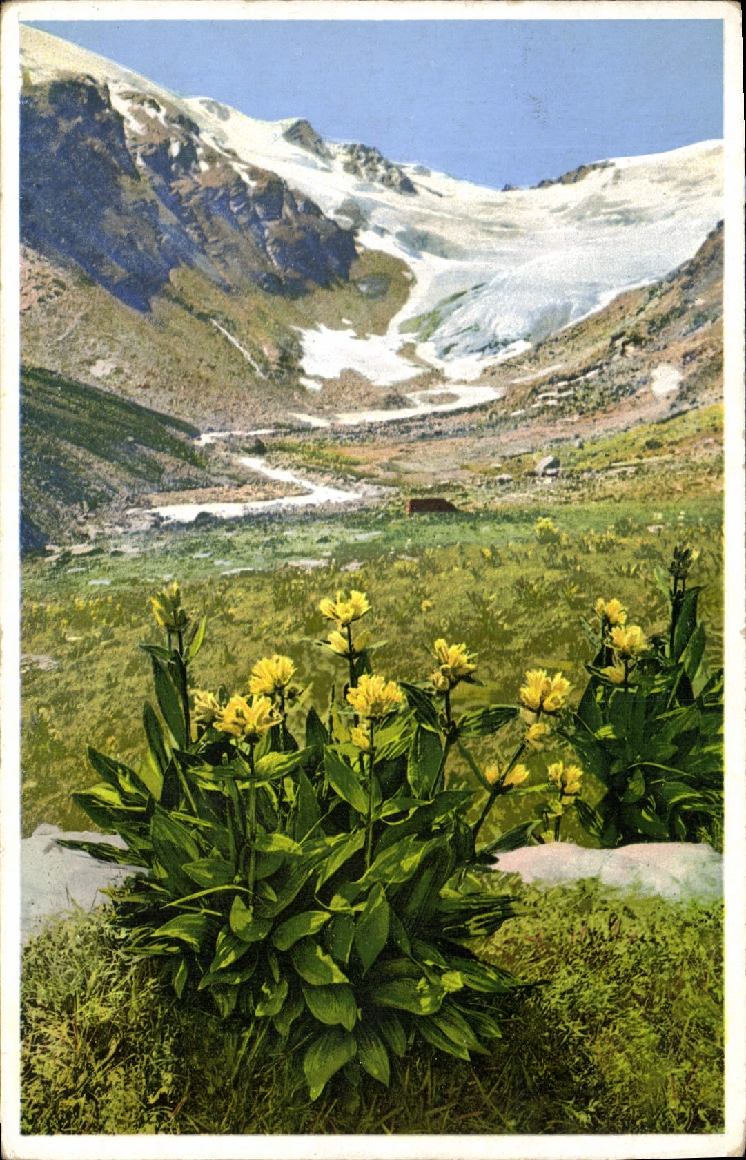 CPA Fantaisie Fleurs Fextal