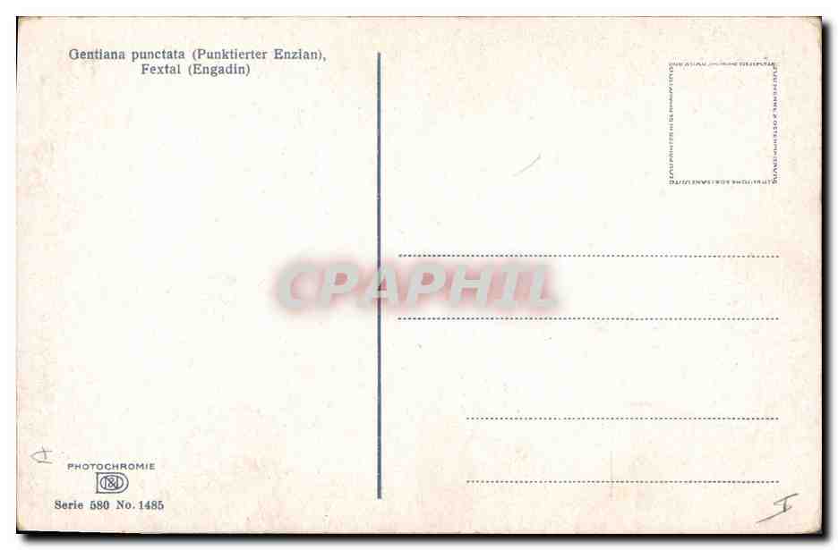 CPA Fantaisie Fleurs Fextal — Rückseite