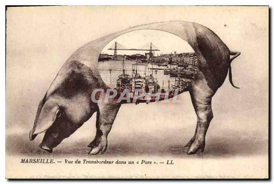 CPA Cochon Porc Marseille Vue du transbordeur dans un porc Bateaux 