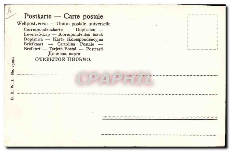 CPA Cochon Porc Enfants Champignon Champignon  — Back