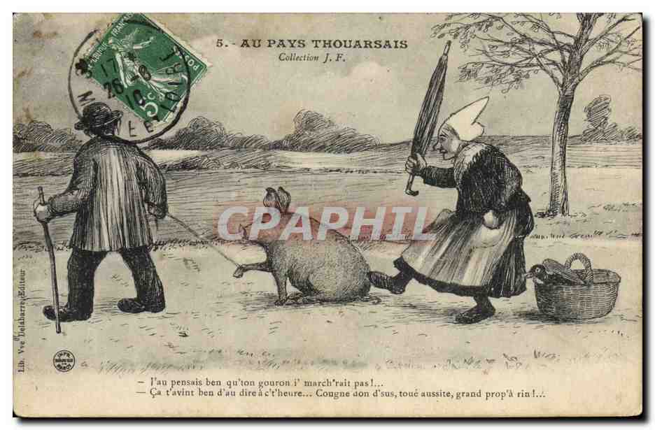 CPA Cochon Porc Au pays Thouarsais 