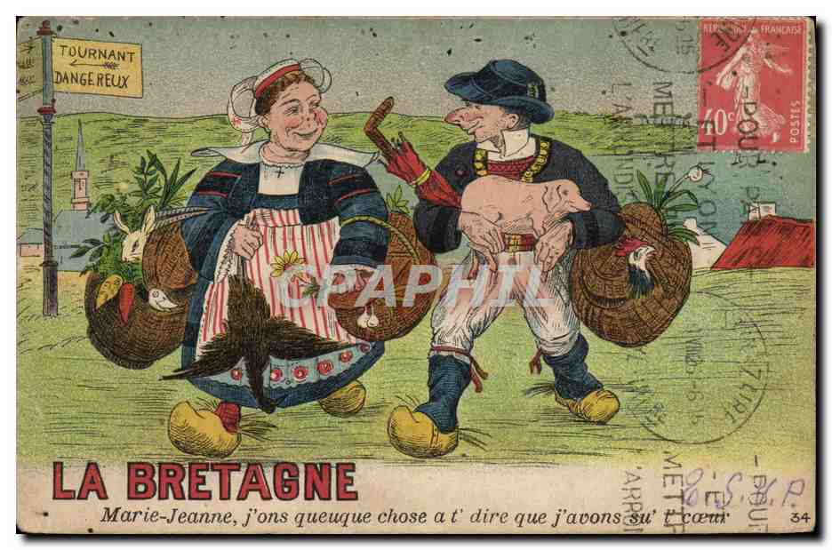 CPA Cochon Porc Bretagne 