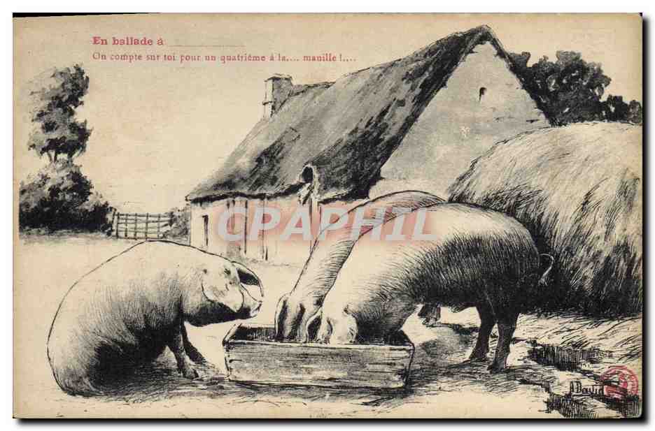 CPA Cochon Porc Ballade Ferme 