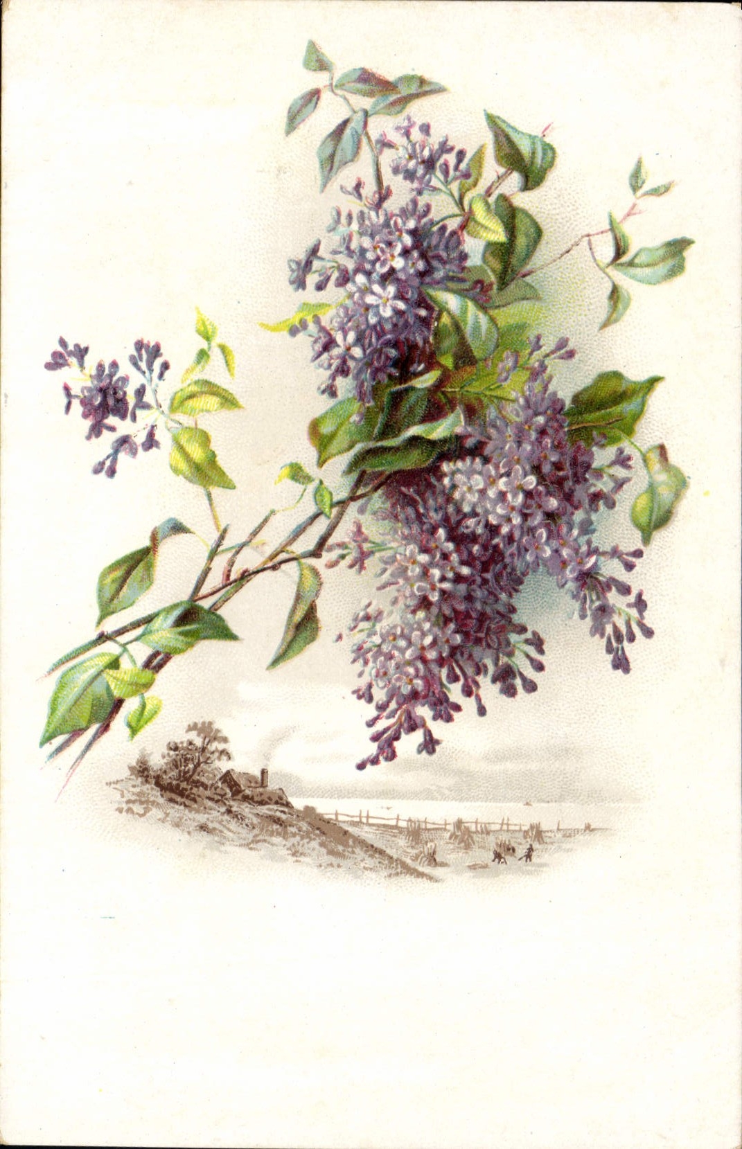 CPA Fantaisie Fleurs 
