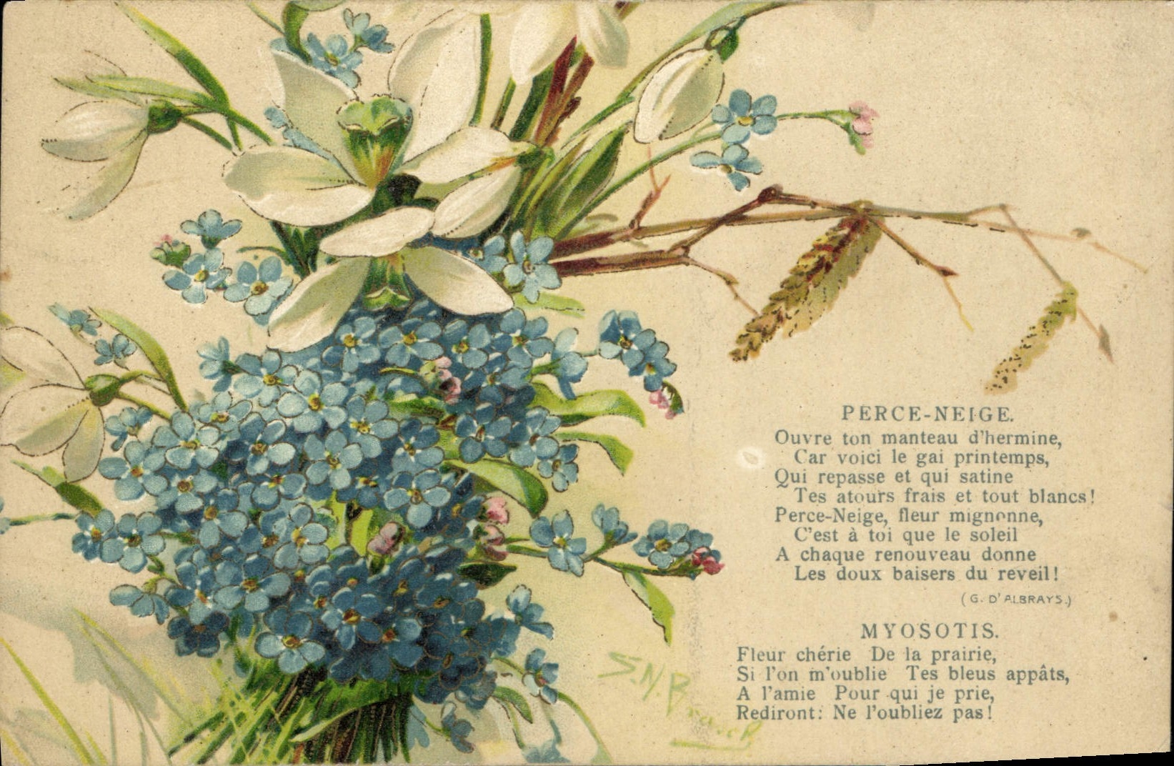 CPA Fantaisie Fleurs Perce Neige