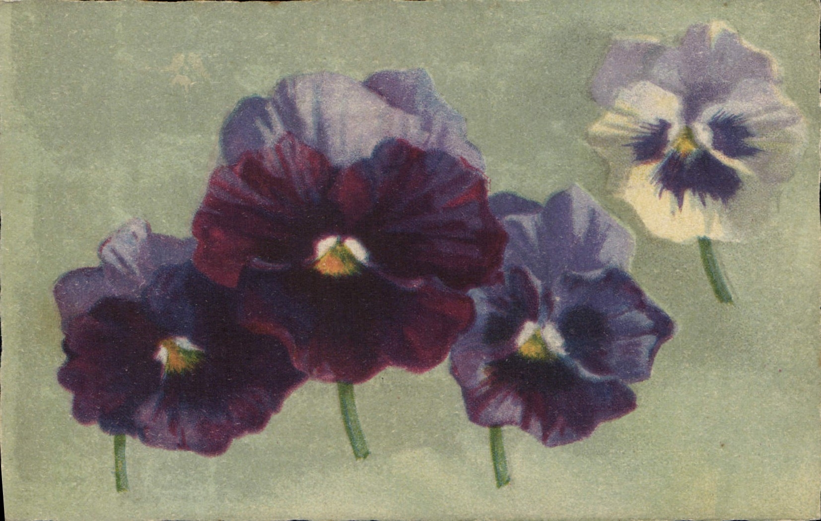 CPA Fantaisie Fleurs 