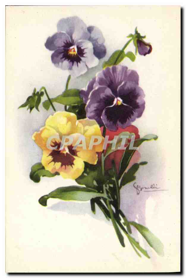 CPA Fantaisie Fleurs 
