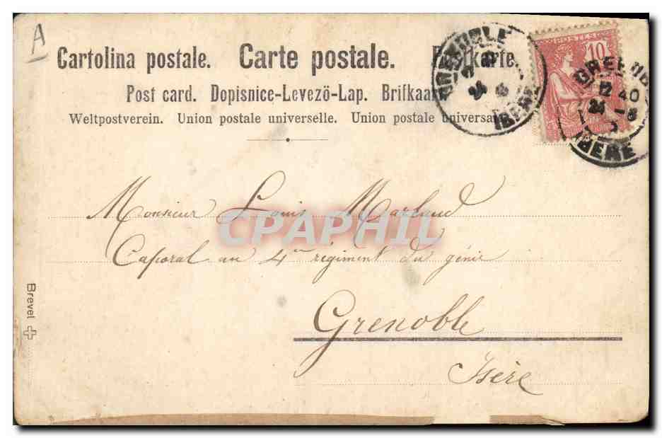 CPA Fleurs sechees Fantaisie Fleurs Anemone — Verso