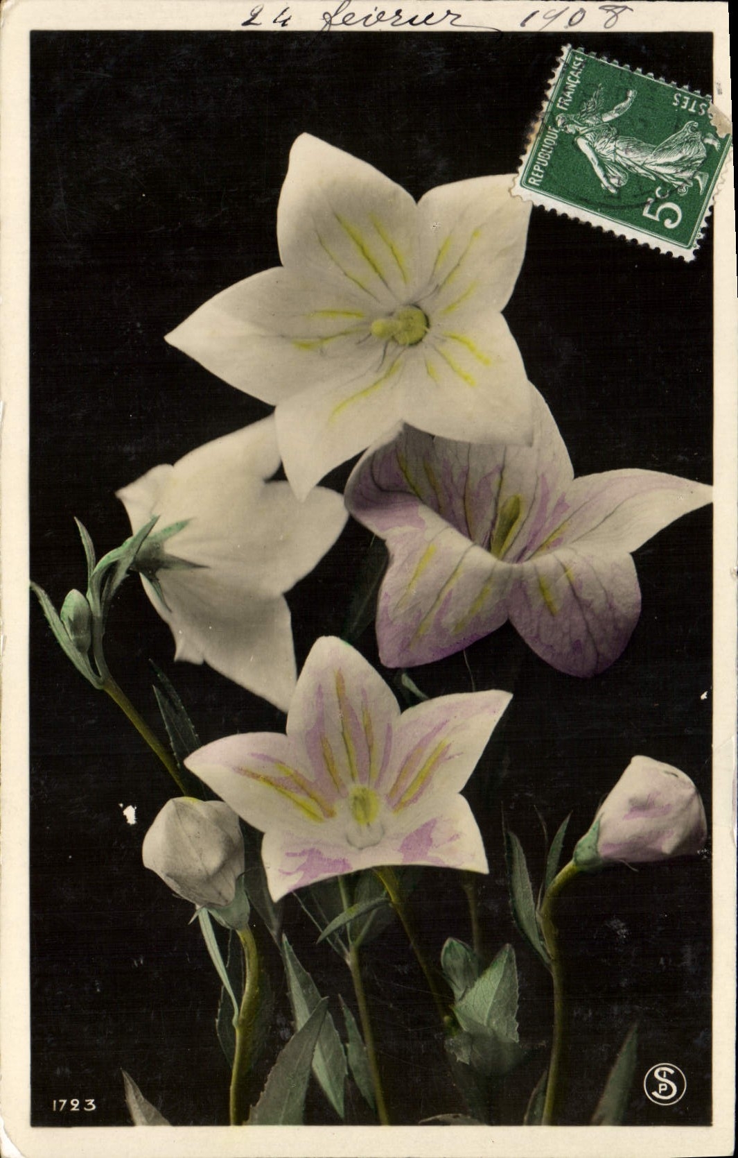 CPA Fantaisie Fleurs 
