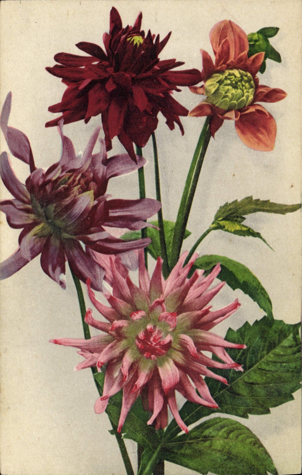 CPA Fantaisie Fleurs 