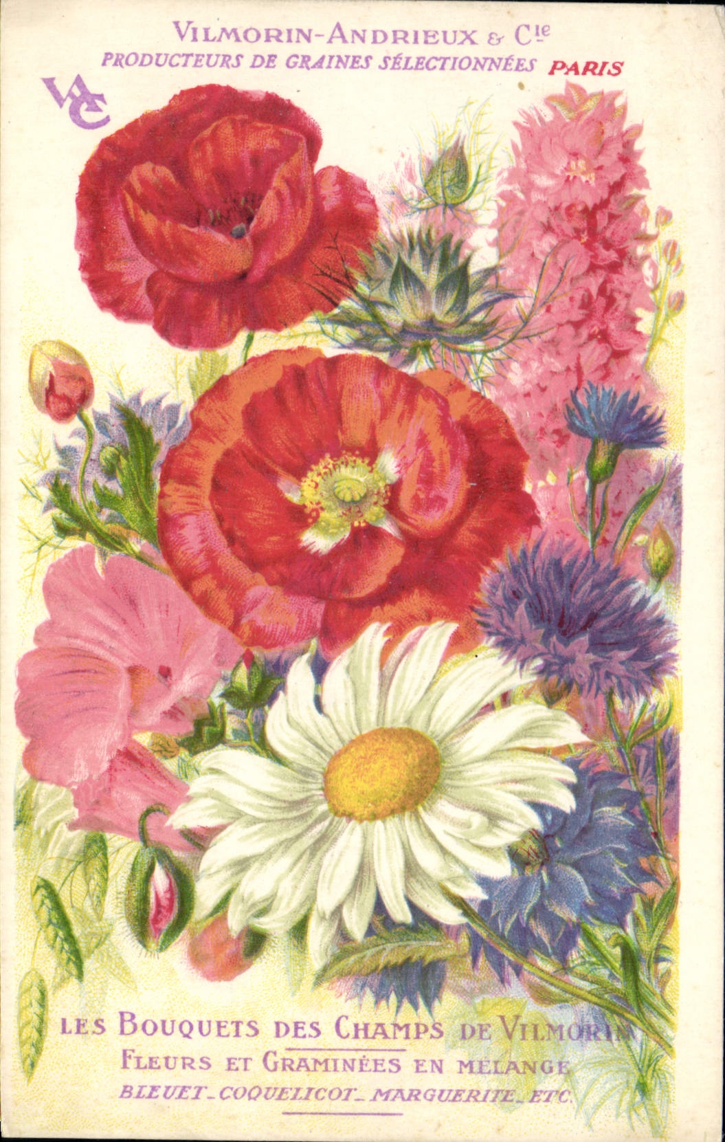 Bouquet dei Campi Vilmorin — Fiori e Graminacee in Miscela — Vilmorin-Andrieux & Cie, Parigi
