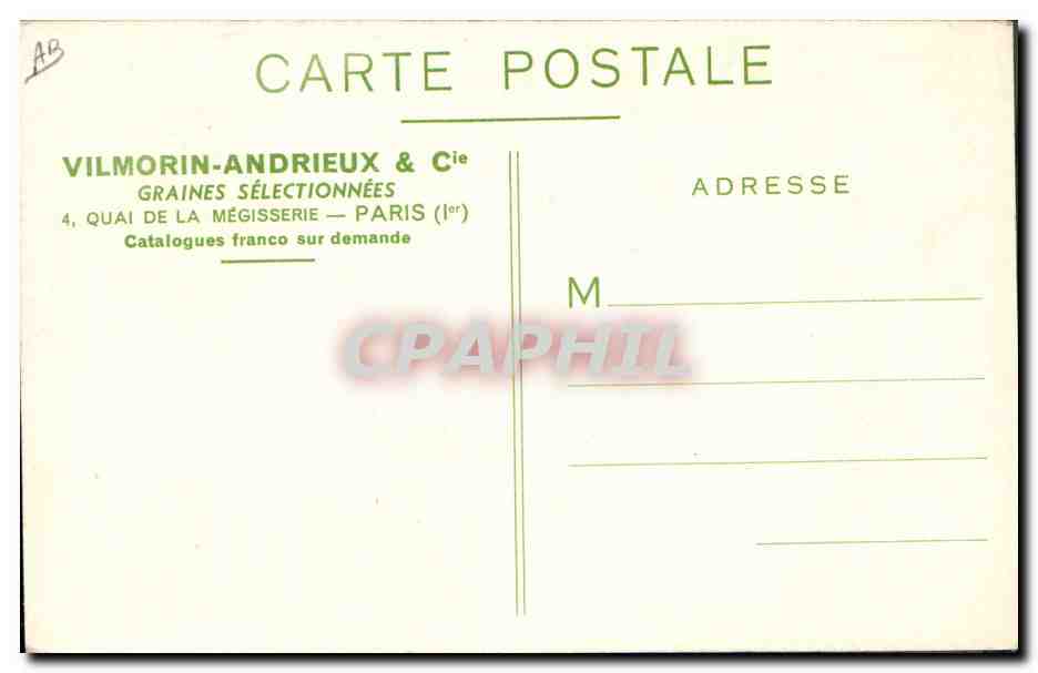 Bouquet dei Campi Vilmorin — Fiori e Graminacee in Miscela — Vilmorin-Andrieux & Cie, Parigi — Verso