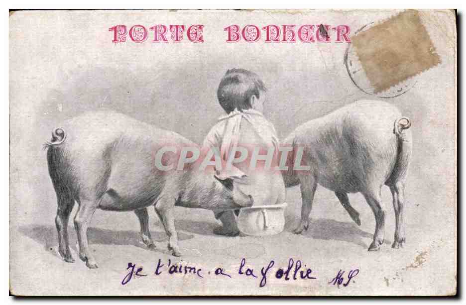 CPA Cochon Porc Enfant Porte bonheur 
