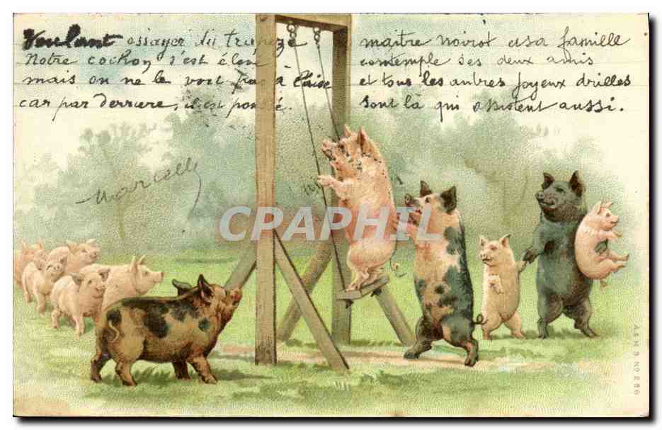 CPA Cochon Porc 