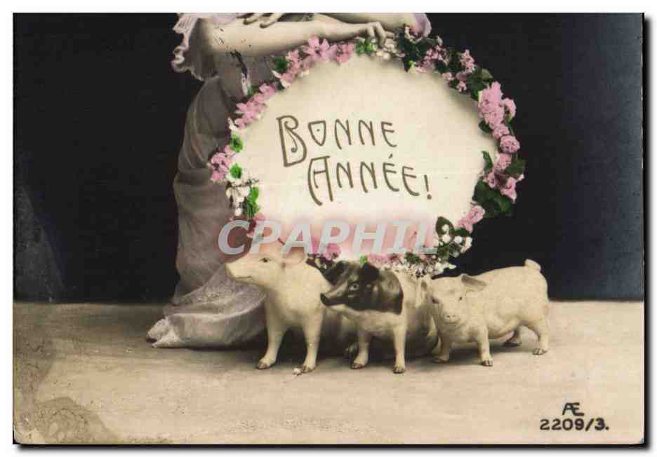 CPA Cochon Porc Femme Bonne annee 