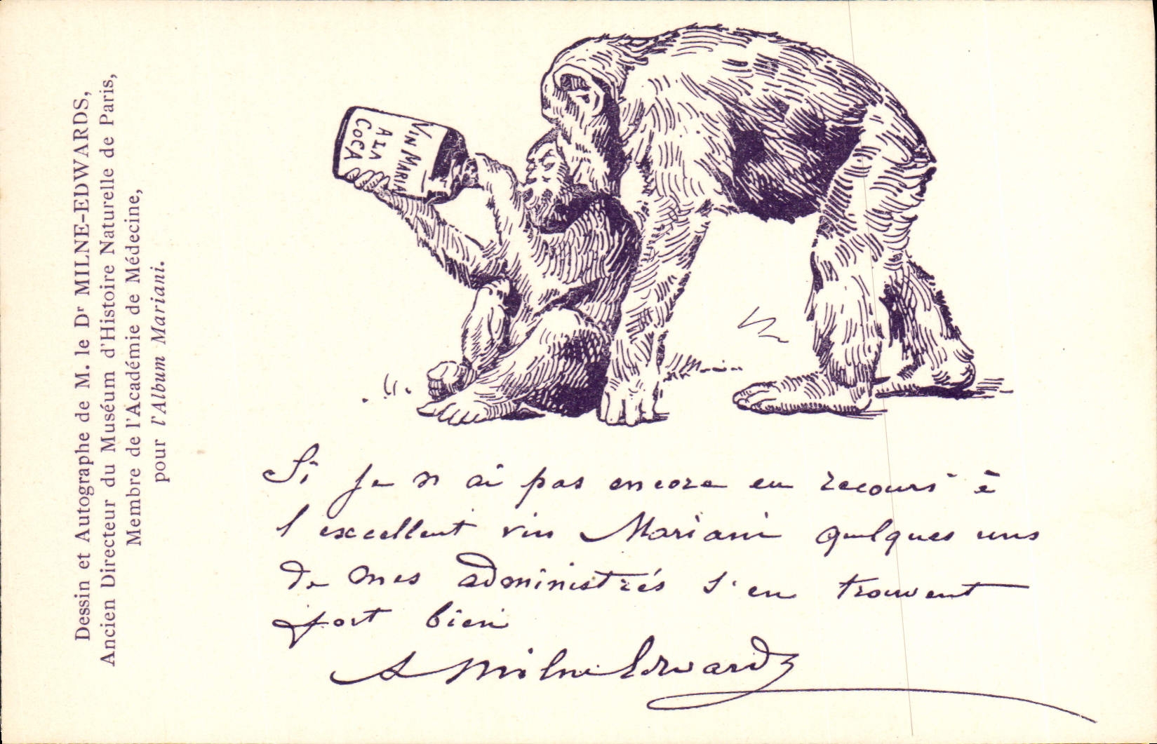 CPA Fantaisie Illustrateur Milne Edwards Singe Album Mariani 