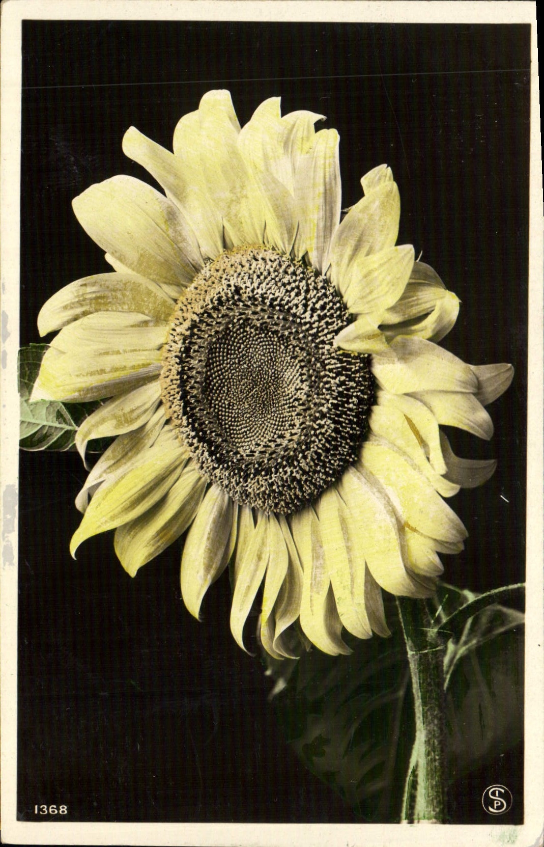 CPA Fantaisie Fleurs 