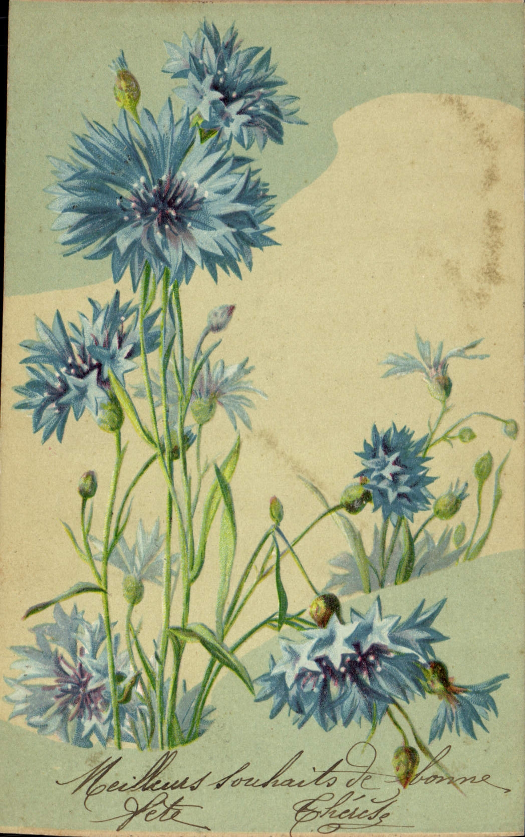 CPA Fantaisie Fleurs 