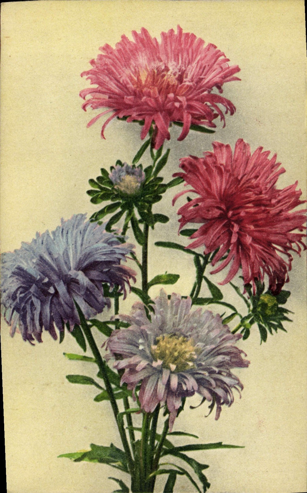 CPA Fantaisie Fleurs 